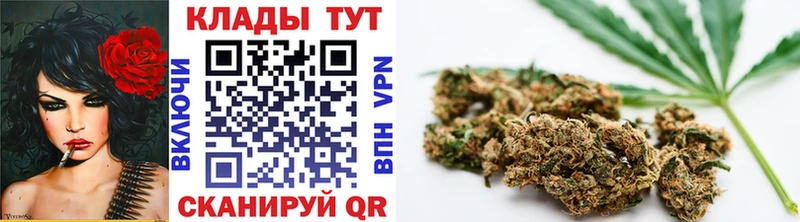 Где продают наркотики Павловский Посад A PVP  Меф мяу мяу  Марихуана 
