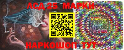 Альфа ПВП Можга