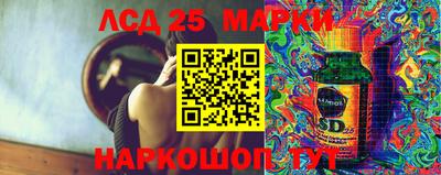 Альфа ПВП Можга