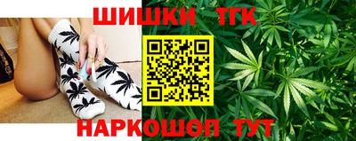Альфа ПВП Можга